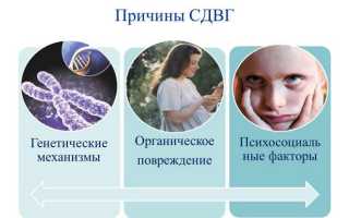 Заболевание как синдром дефицита внимания