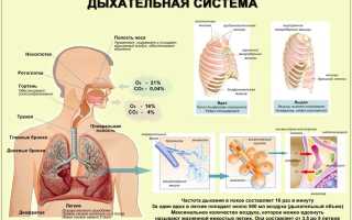 Болезни верхних дыхательных путей мкб 10 код