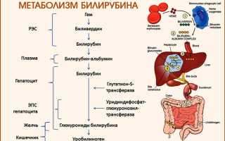 Норма анализа крови синдром жильбера