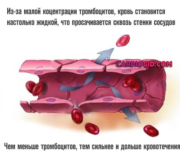 проницаемость сосудов
